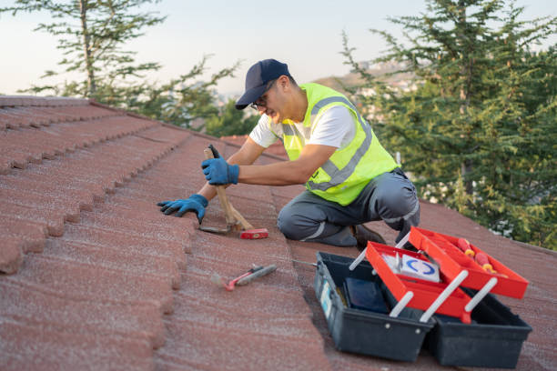 Best Local Roofing Companies  in Zephyrhills West, FL