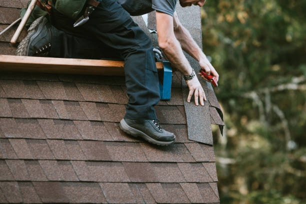 Roof Gutter Cleaning in Zephyrhills West, FL